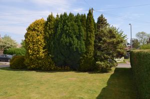 Front garden- click for photo gallery